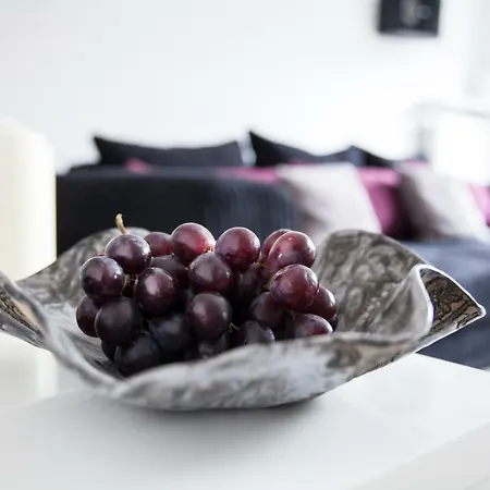 Art Praga Apartament 公寓